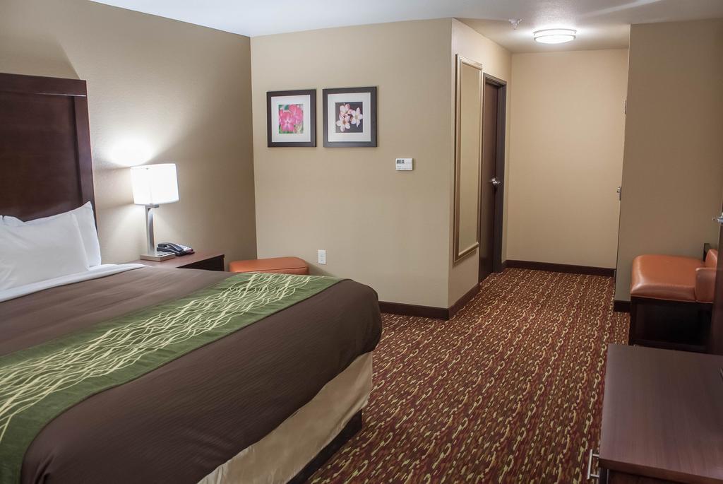 Comfort Inn & Suites Artesia Quarto foto