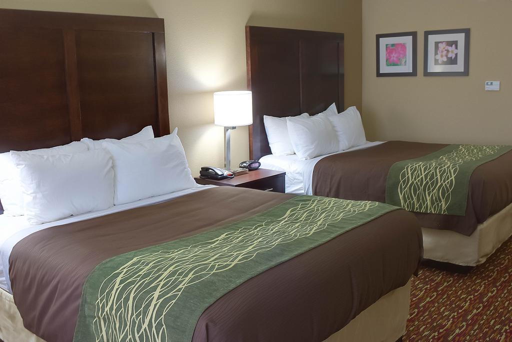Comfort Inn & Suites Artesia Quarto foto