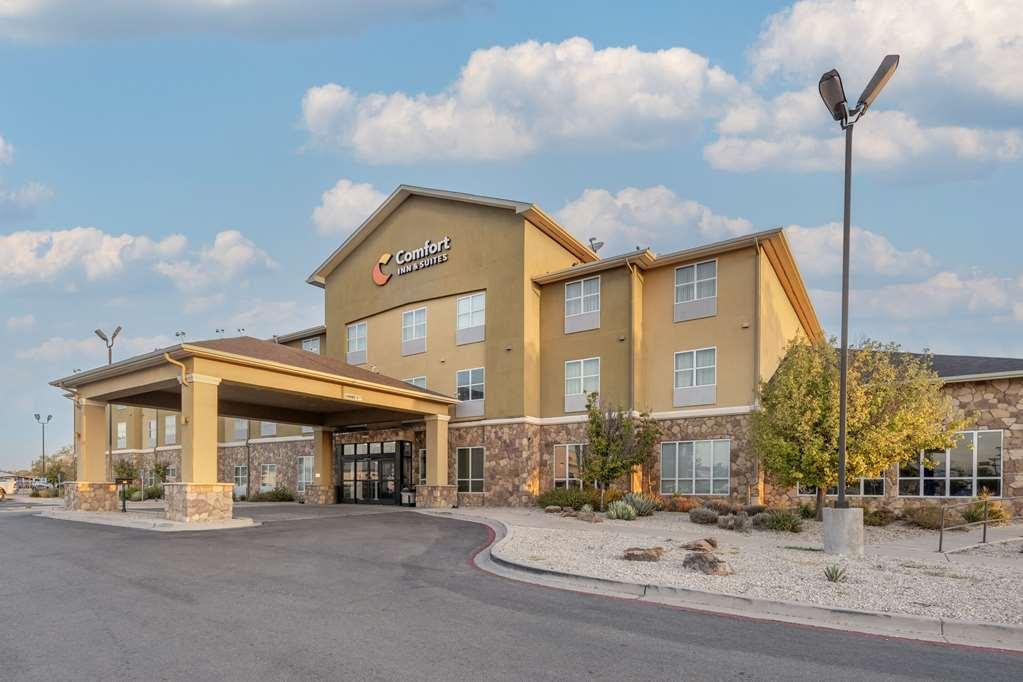 Comfort Inn & Suites Artesia Exterior foto